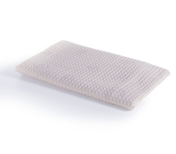 3146-5558-GREIGE-1_1