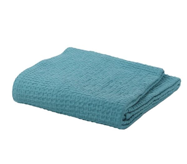 3146-0183-LIGHTBLUE-1_1