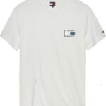 Tommy Hilfiger Tonal Logo Slim T-Shirt ανδρικό μπλουζάκι DM0DM21577