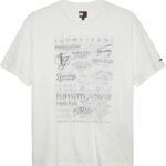 Tommy Hilfiger Multi-Logo Back Graphic Relaxed T-Shirt ανδρικό μπλουζάκι DM0DM21584