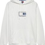 Tommy Hilfiger Tonal Logo Drawstring Hoody ανδρική μπλούζα φούτερ DM0DM21623