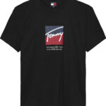 Tommy Hilfiger Signature Logo T-Shirtα ανδρικό μπλουζάκι DM0DM21940