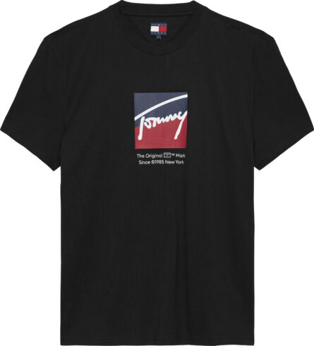 Tommy Hilfiger Signature Logo T-Shirtα ανδρικό μπλουζάκι DM0DM21940