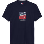 Tommy Hilfiger Signature Logo T-Shirtα ανδρικό μπλουζάκι DM0DM21940