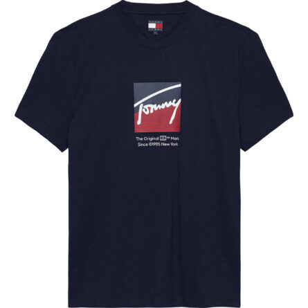 Tommy Hilfiger Signature Logo T-Shirtα ανδρικό μπλουζάκι DM0DM21940