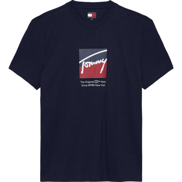 Tommy Hilfiger Signature Logo T-Shirtα ανδρικό μπλουζάκι DM0DM21940