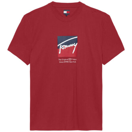 Tommy Hilfiger Signature Logo T-Shirtα ανδρικό μπλουζάκι DM0DM21940