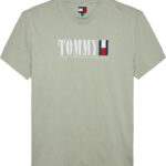 Tommy Hilfiger Logo Crew Neck T-Shirt ανδρικό μπλουζάκι DM0DM21941