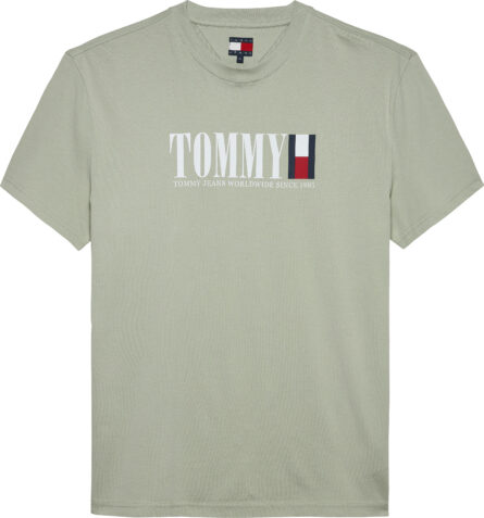 Tommy Hilfiger Logo Crew Neck T-Shirt ανδρικό μπλουζάκι DM0DM21941