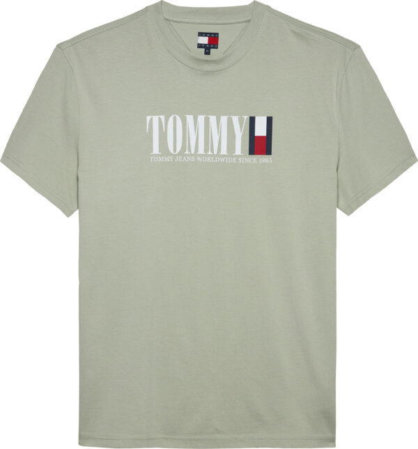 Tommy Hilfiger Logo Crew Neck T-Shirt ανδρικό μπλουζάκι DM0DM21941 Tommy Hilfiger Logo Crew Neck T-Shirt ανδρικό μπλουζάκι DM0DM21941