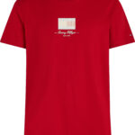 Tommy Hilfiger Ithaca Stripe Flag T-Shirt ανδρικό μπλουζάκι MW0MW39349