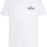 Tommy Hilfiger Logo Crew Neck T-Shirt ανδρικό μπλουζάκι MW0MW39355