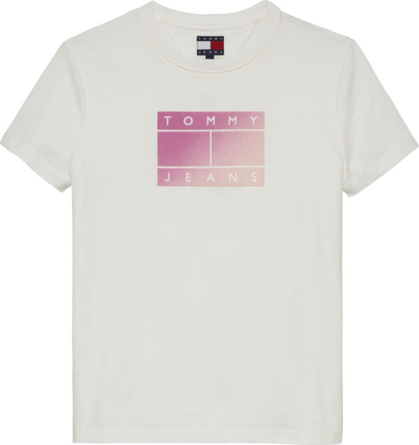 Tommy Hilfiger Gradient Logo Crew Neck T-Shirt γυναικεία μπλούζα DW0DW20905 Tommy Hilfiger Gradient Logo Crew Neck T-Shirt γυναικεία μπλούζα DW0DW20905