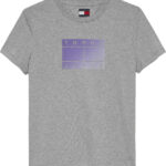 Tommy Hilfiger Gradient Logo Crew Neck T-Shirt γυναικεία μπλούζα DW0DW20905