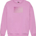 Tommy Hilfiger Gradient Flag Crew γυναικεία μπλούζα DW0DW21396