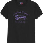 Tommy Hilfiger Essential Logo T-Shirt γυναικεία μπλούζα DW0DW21404