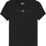 Tommy Hilfiger Linear Logo Slim T-Shirt γυναικεία μπλούζα DW0DW21422