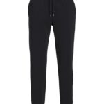 Jack & Jones ανδρικό παντελόνι φόρμας 12248838