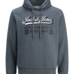 Jack&Jones ανδρικό φούτερ με κουκούλα και τύπωμα 12279649