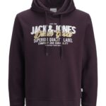 Jack&Jones ανδρικό φούτερ με κουκούλα και τύπωμα 12279649