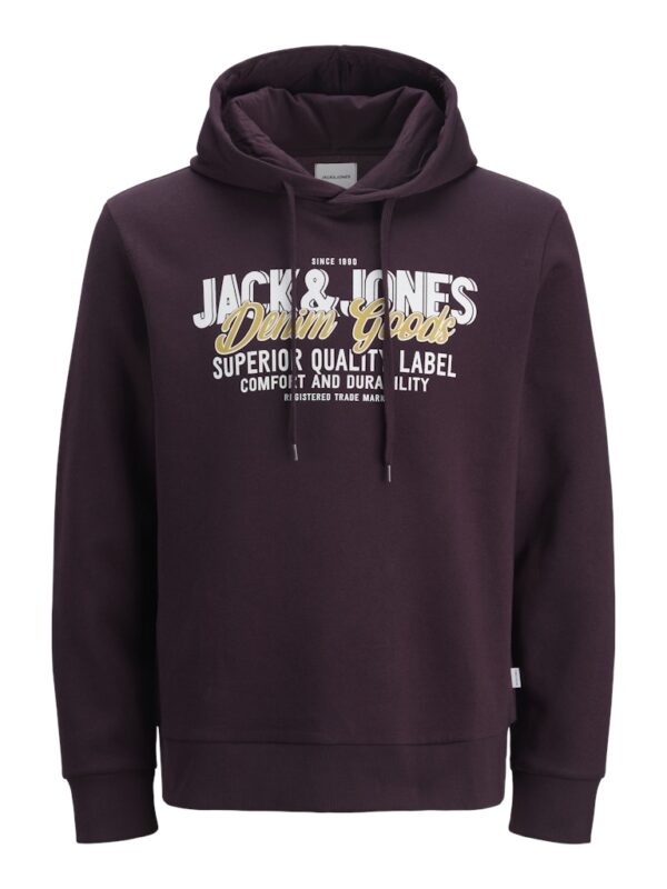 Jack&Jones ανδρικό φούτερ με κουκούλα και τύπωμα 12279649