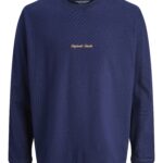 Jack&Jones ανδρικό μονόχρωμο μακρυμάνικο t shirt 12282895