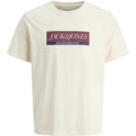 Jack&Jones ανδρικό κοντομάνικο t shirt με τύπωμα 12283628