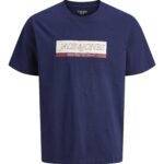Jack&Jones ανδρικό κοντομάνικο t shirt με τύπωμα 12283628