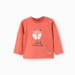 Zippy βρεφικό μακρυμάνικο t-shirt με τύπωμα για αγοράκι ZBBAP0303_25066