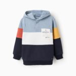 Zippy παιδική φούτερ μπλούζα με κουκούλα για αγόρι ZKBAP0202_25045