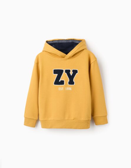 Zippy παιδική φούτερ μπλούζα με κουκούλα και τύπωμα για αγόρι ZKBAP0202_25070