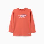 Zippy παιδική μακρυμάνικη μπλούζα με τύπωμα για αγόρι ZKBAP0303_25088