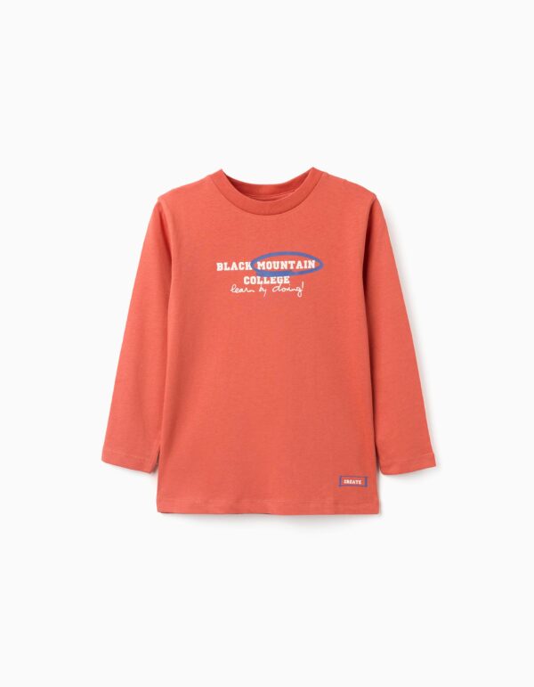 Zippy παιδική μακρυμάνικη μπλούζα με τύπωμα για αγόρι ZKBAP0303_25088