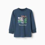 Zippy παιδικό μακρυμάνικο t-shirt για αγόρι ZKBAP0303_25090