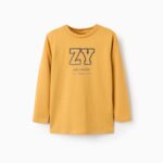 Zippy παιδική μακρυμάνικη μπλούζα με τύπωμα για αγόρι ZKBAP0303_25091