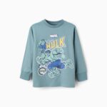 Zippy παιδική μακρυμάνικη μπλούζα με τύπωμα για αγόρι ZKBAP0303_25104