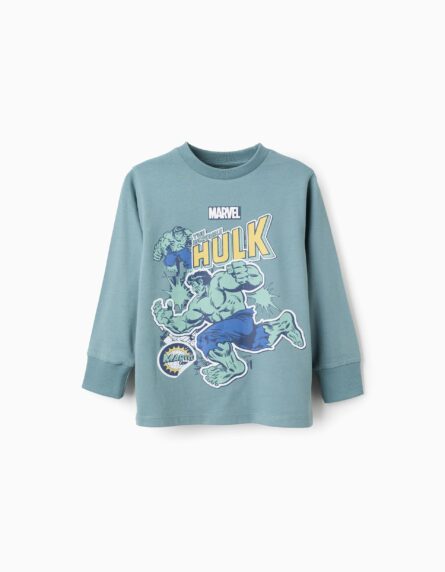 Zippy παιδική μακρυμάνικη μπλούζα με τύπωμα για αγόρι ZKBAP0303_25104