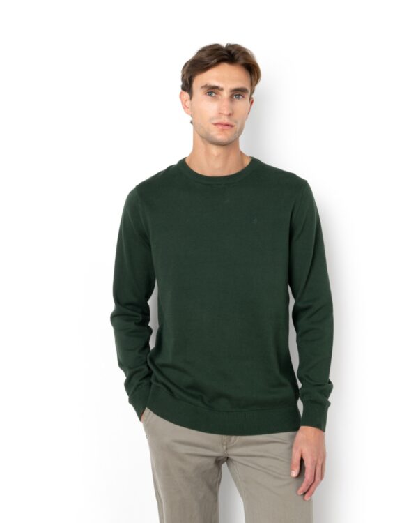 2141-1639-DARKGREEN-1