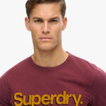 Superdry ανδρικό t-shirt με λογότυπο M1012197A