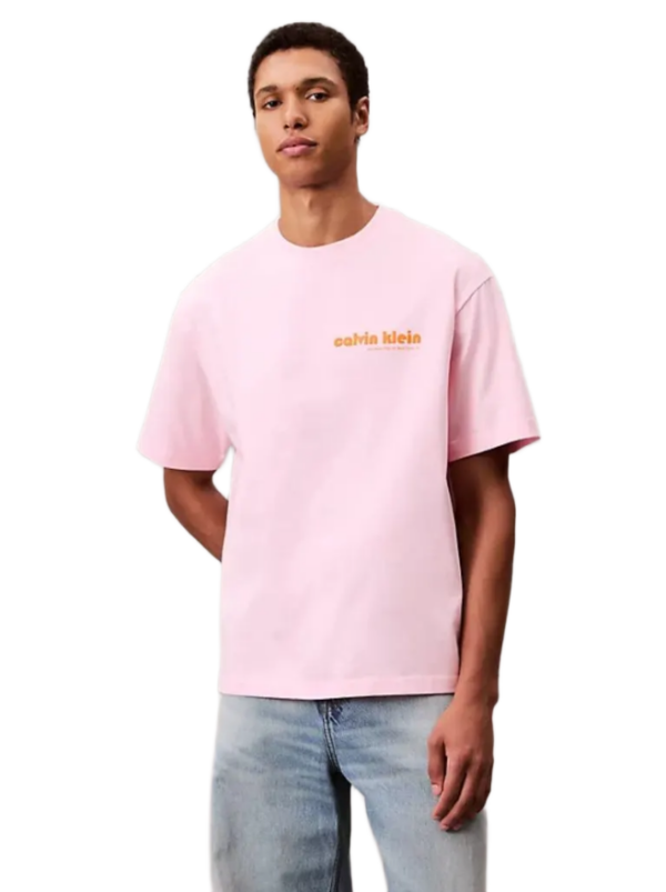 Calvin Klein ανδρικό t-shirt με λογότυπο LV04RC829G