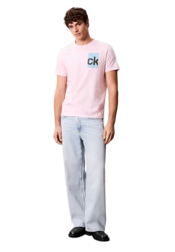 Calvin Klein ανδρικό t-shirt με λογότυπο LV04RC847G