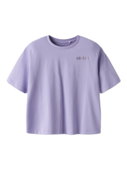 Name It παιδικό κοντομάνικο t-shirt με τύπωμα 13245150