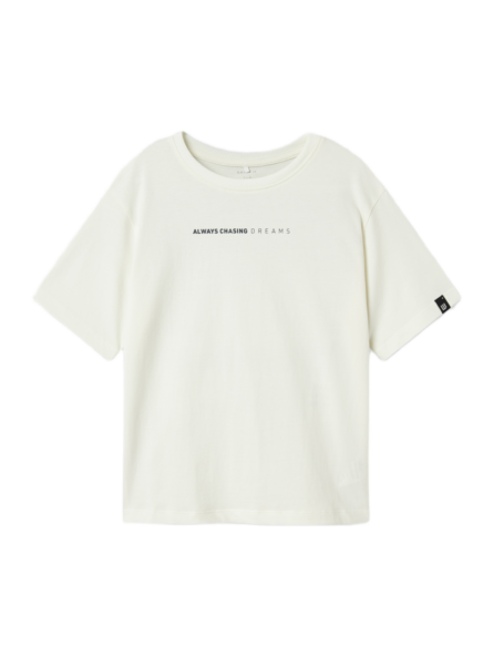 Name It παιδικό κοντομάνικο t-shirt για αγόρι 13244943