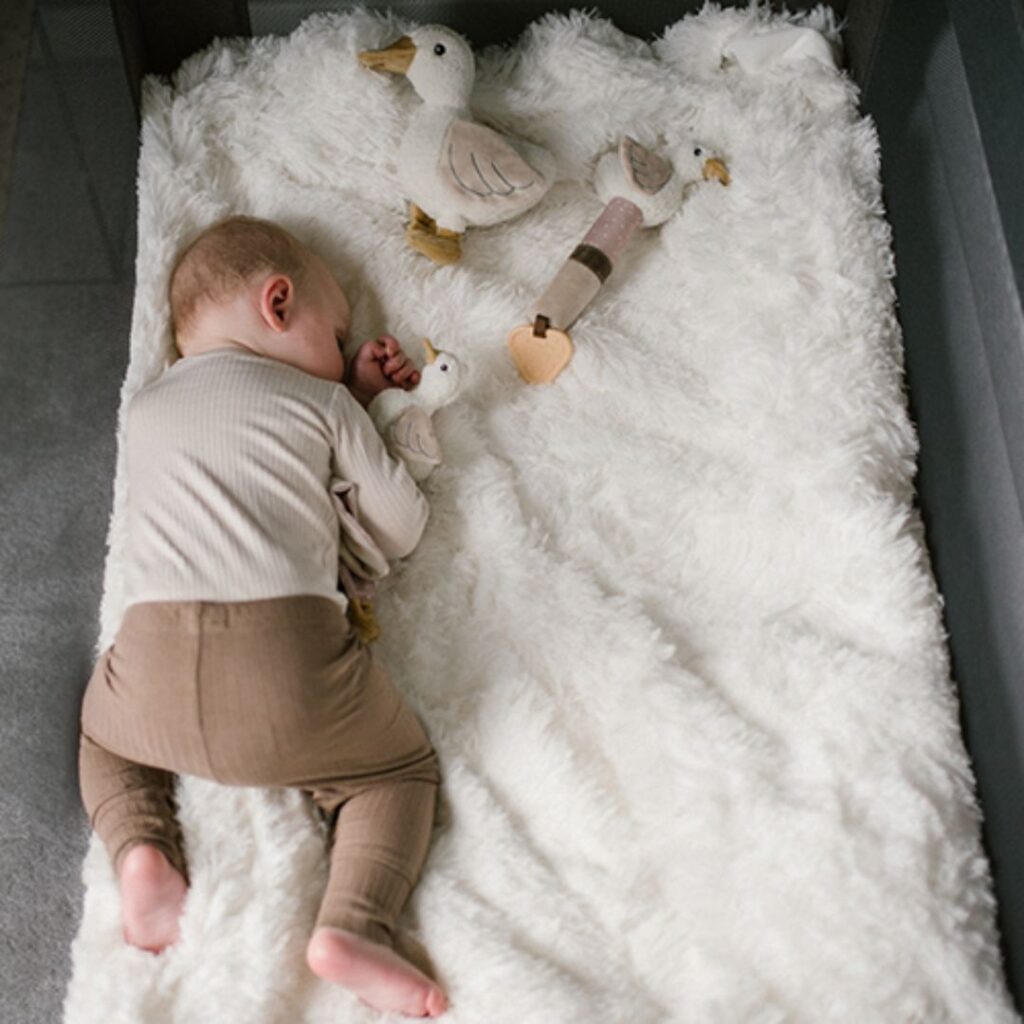 A-Play BabyOno: Μαλακό παιχνίδι Squeaker - κουδουνίστρα ZOE χήνα BN1555