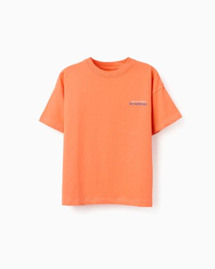 Zippy παιδικό t-shirt τύπωμα για μικρό αγόρι ZKBAP0303_26028