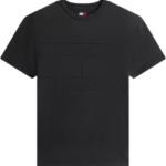 Tommy Hilfiger ανδρικό t-shirt με λογότυπο DM0DM22312