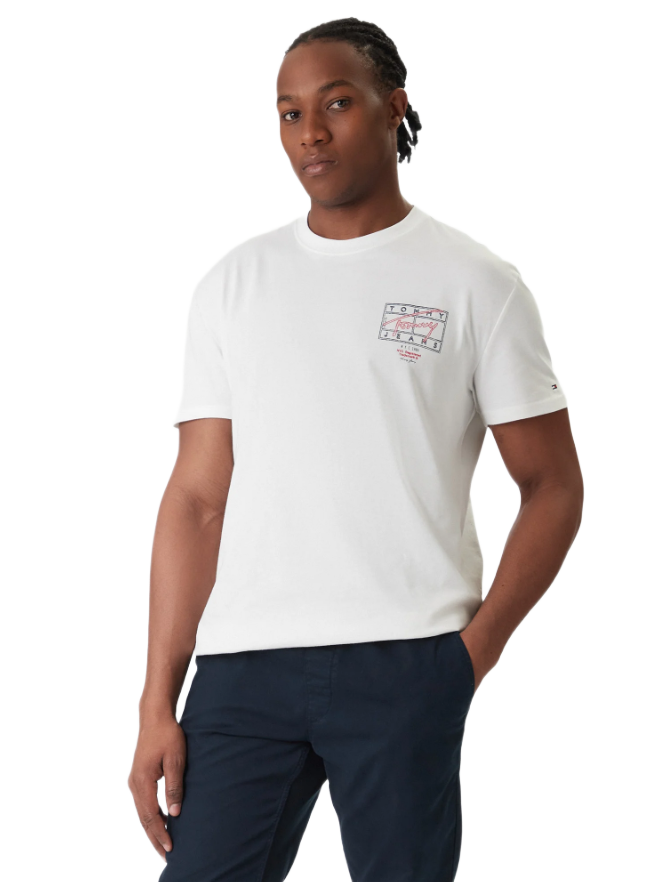 Tommy Hilfiger ανδρικό t-shirt με τύπωμα DM0DM22319