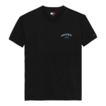 Tommy Hilfiger ανδρικό t-shirt με τύπωμα DM0DM22318