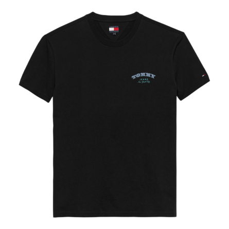 Tommy Hilfiger ανδρικό t-shirt με τύπωμα DM0DM22318