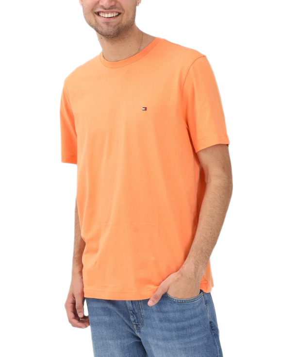 Tommy Hilfiger ανδρικό t-shirt  MW0MW39995